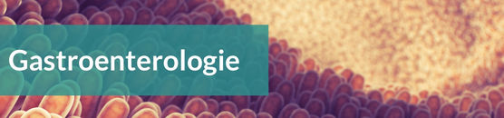 Fachbereichsseite Gastroenterologie