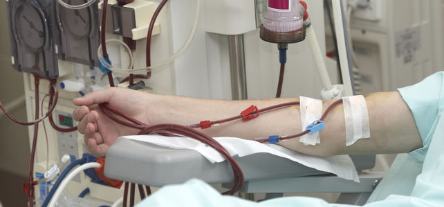 Nierentransplantation: DialysepatientInnen brauchen Widerspruchslösung