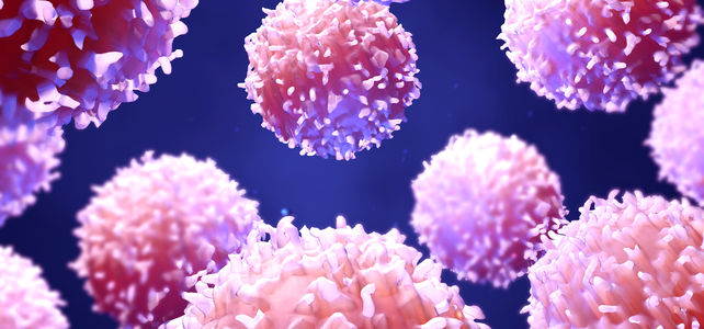 CARTZellTherapie bei Lupus Erfolgsgeschichte aus Mainz